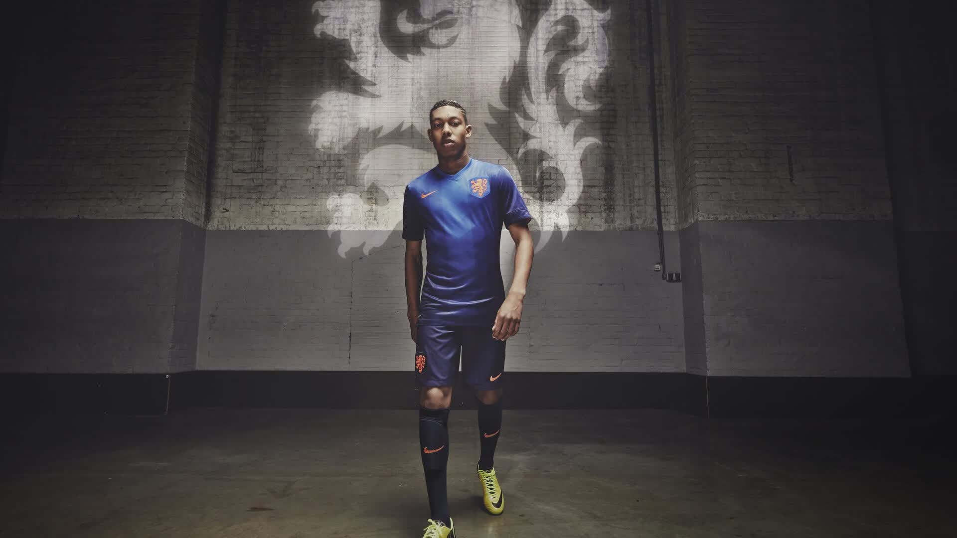 草坪被演唱会舞台压坏后的修复周期,草坪音乐晚会